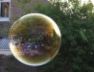 Bubbles, back garden